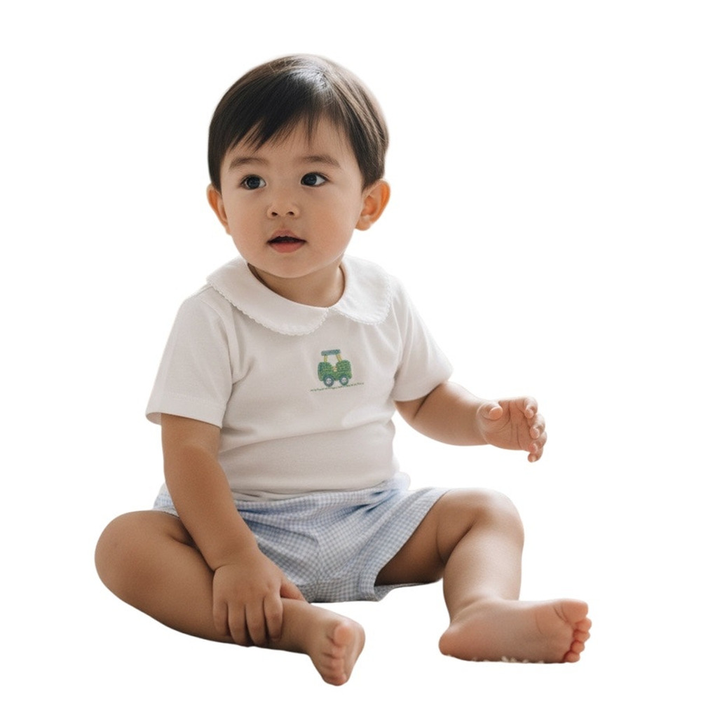 Edgehill Collection Round Neckline Short Sleeve Shirt & Gingham Shorts Set 4T